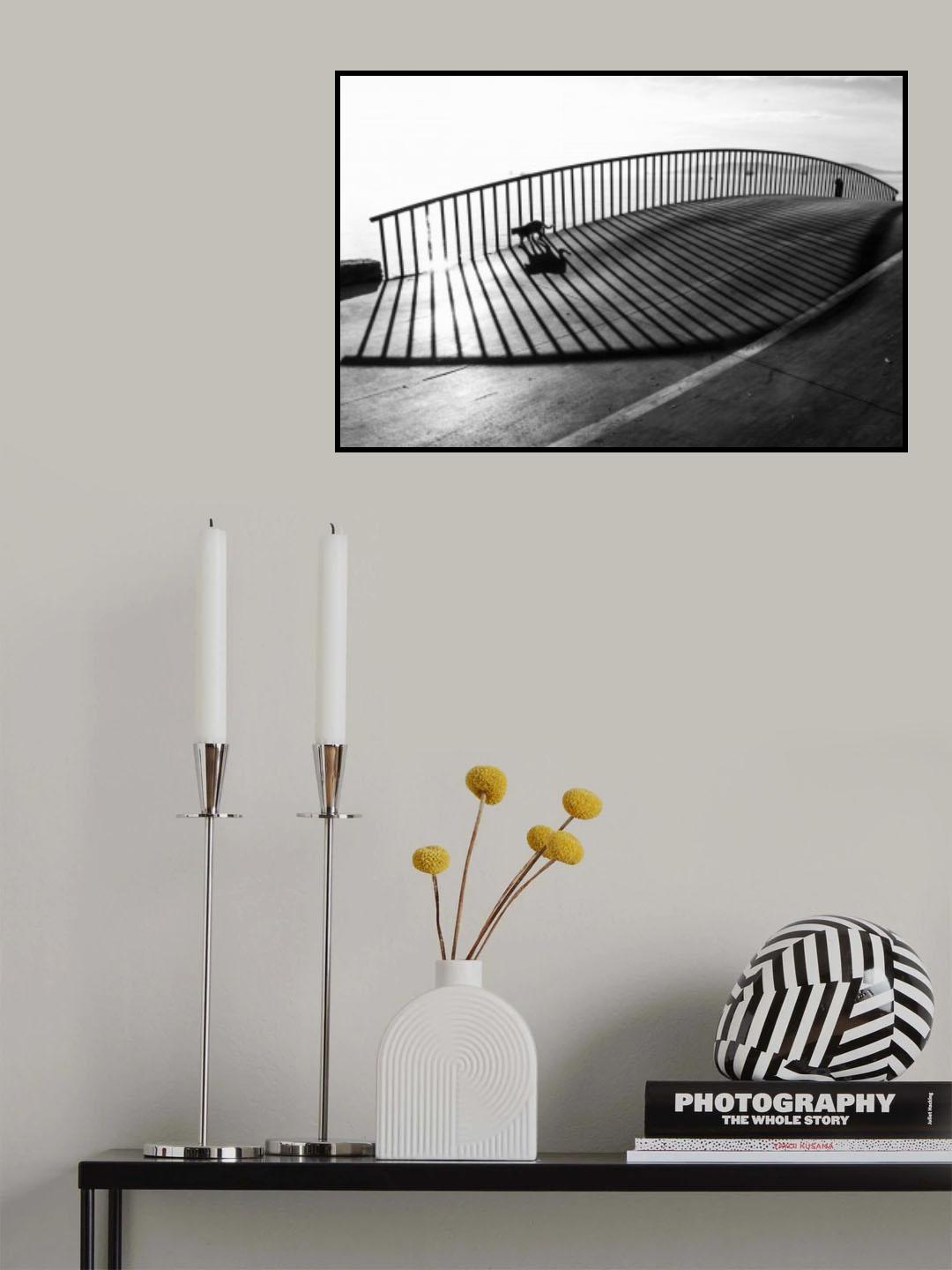 Cat on the bridge Poster och Canvastavla