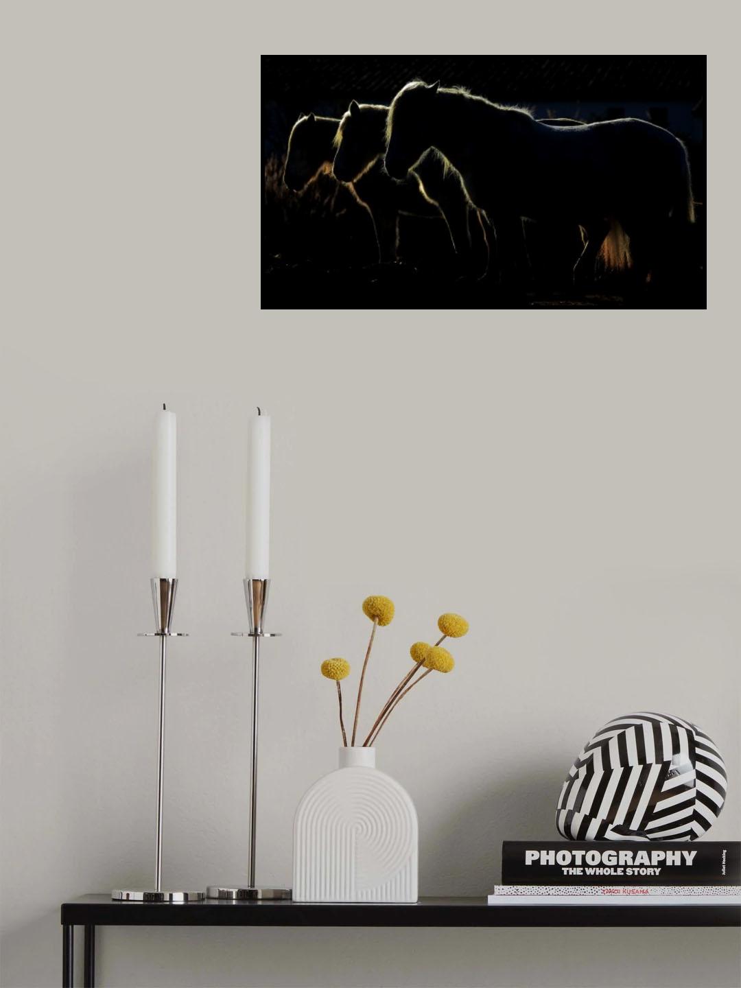Triplés Poster och Canvastavla