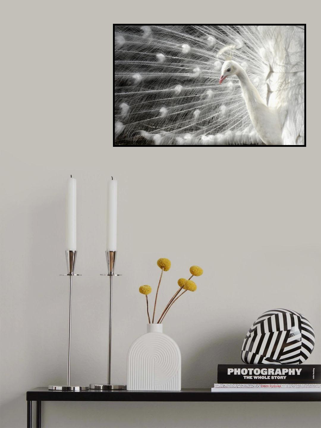 wight is white Poster och Canvastavla