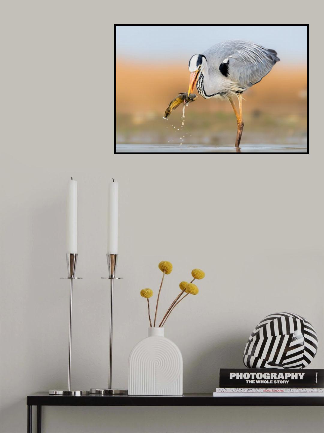 Catching Poster och Canvastavla