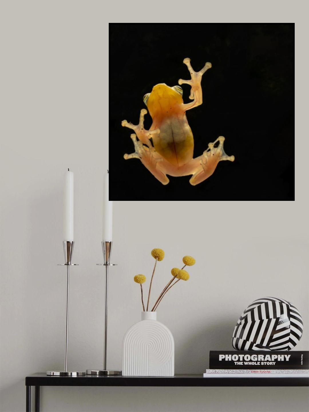Transparent Poster och Canvastavla