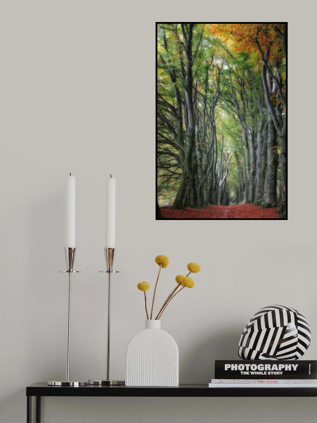 glorious beechtrees Poster och Canvastavla
