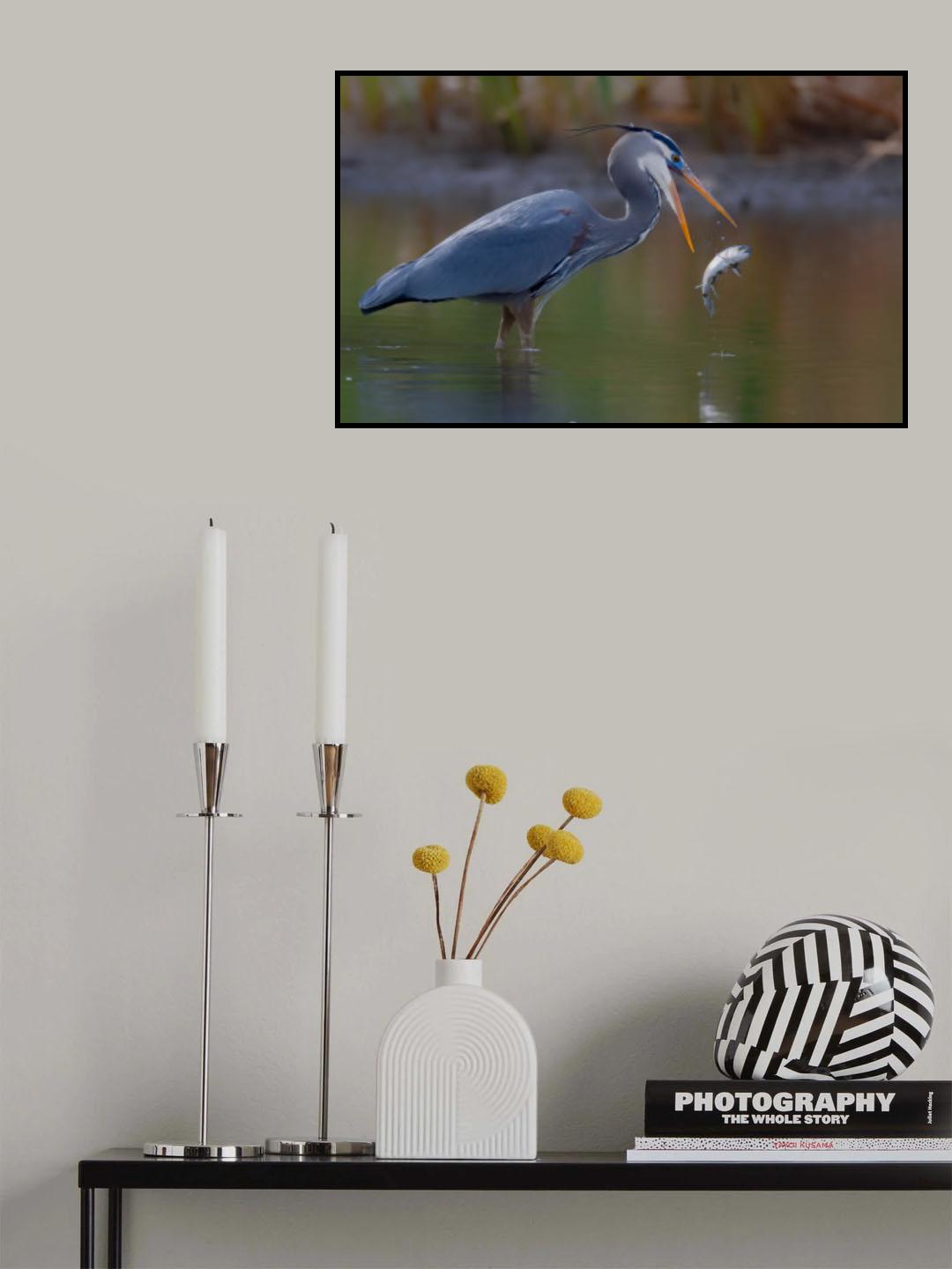Great egret Poster och Canvastavla