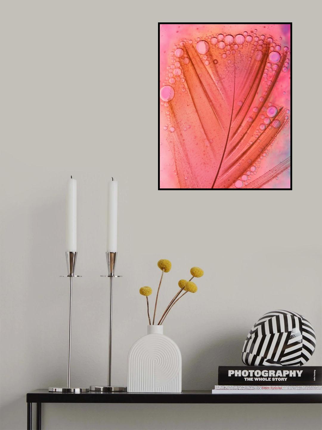 Feather, Oil and Water Poster och Canvastavla