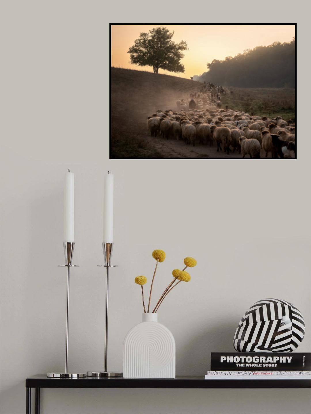 Morning Start Poster och Canvastavla