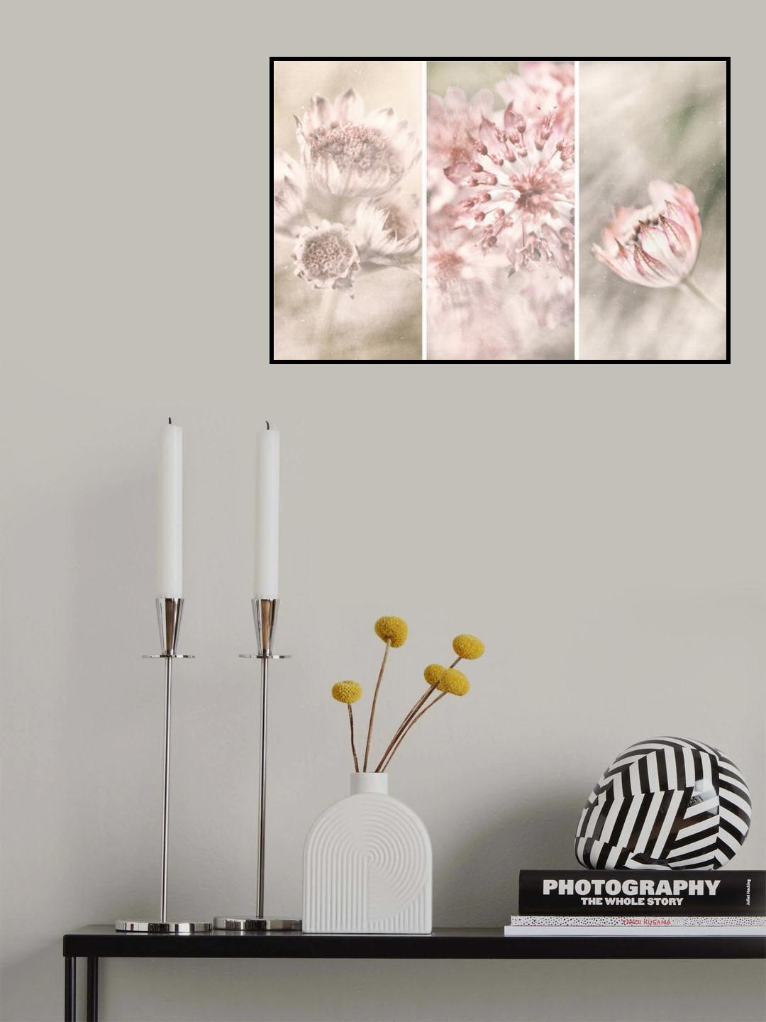 Poster och Canvastavla