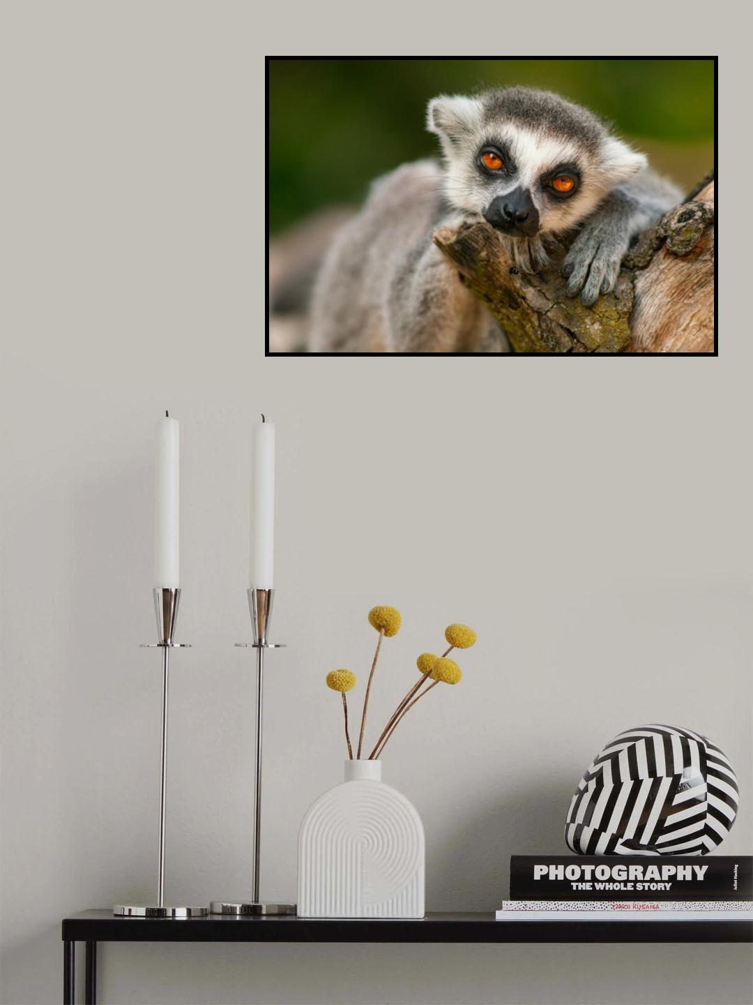 Falling Asleep Poster och Canvastavla