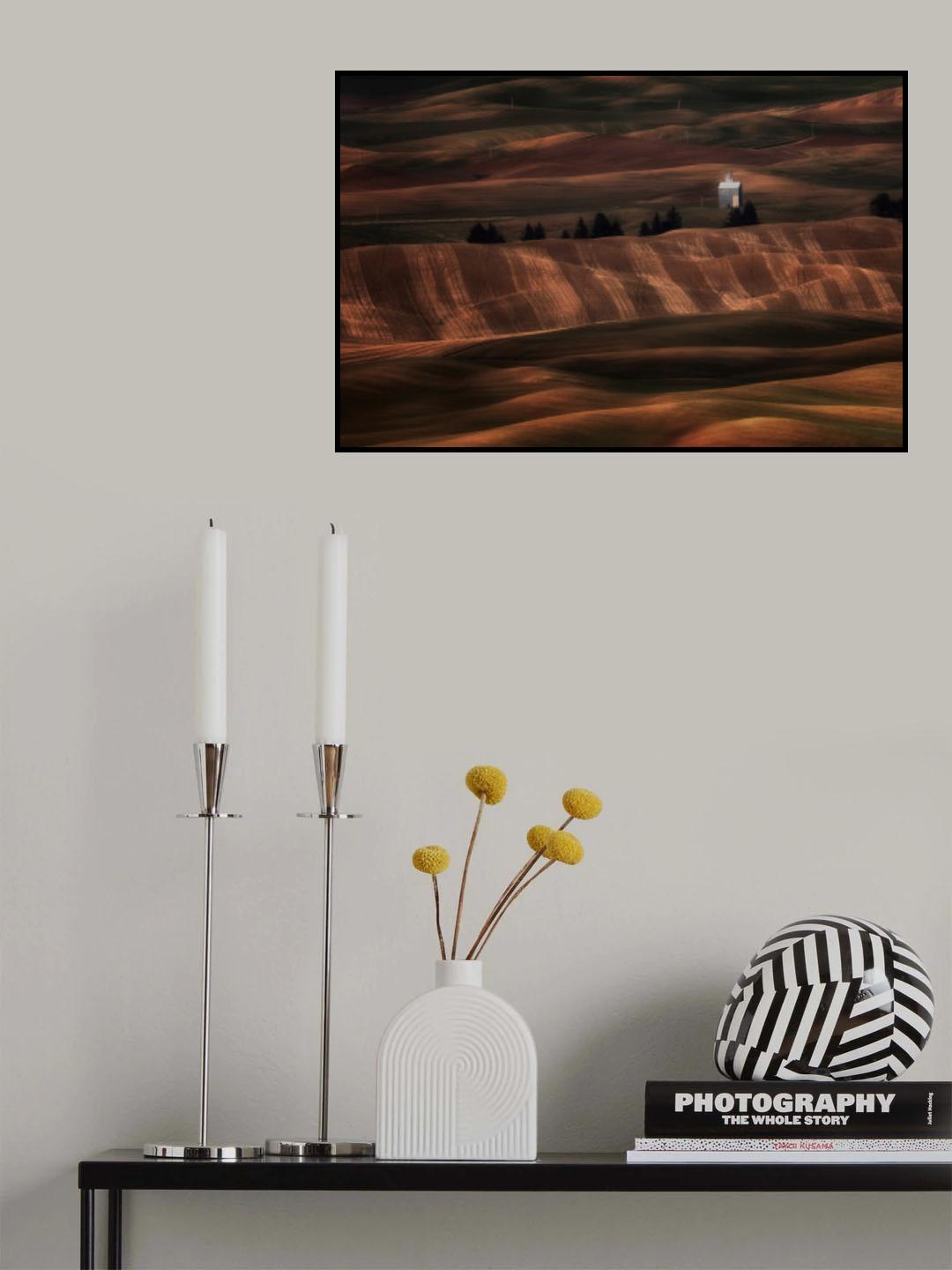 sunset lights over wheat fields Poster och Canvastavla