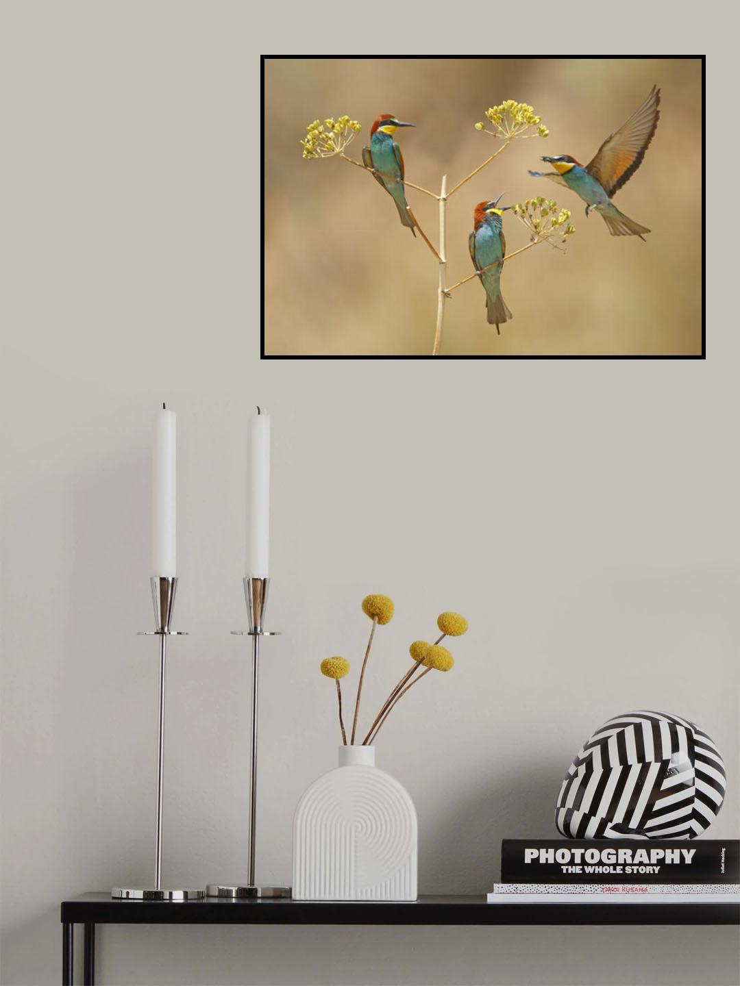 Bee-eaters - who will earn the Bee... Poster och Canvastavla