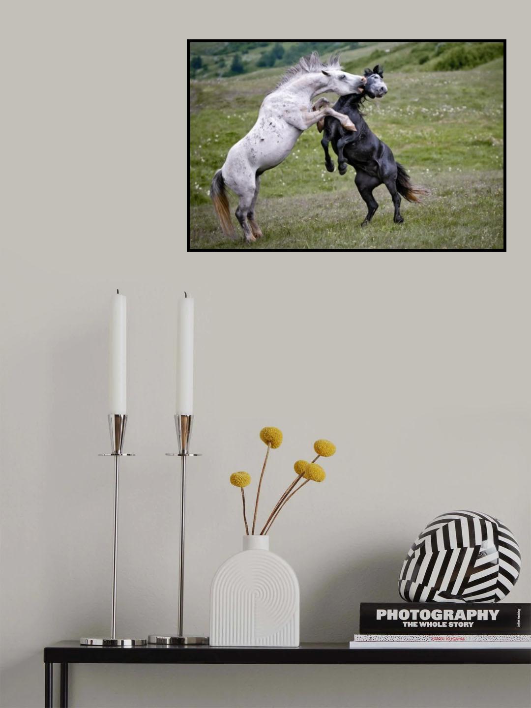attack the teeth Poster och Canvastavla