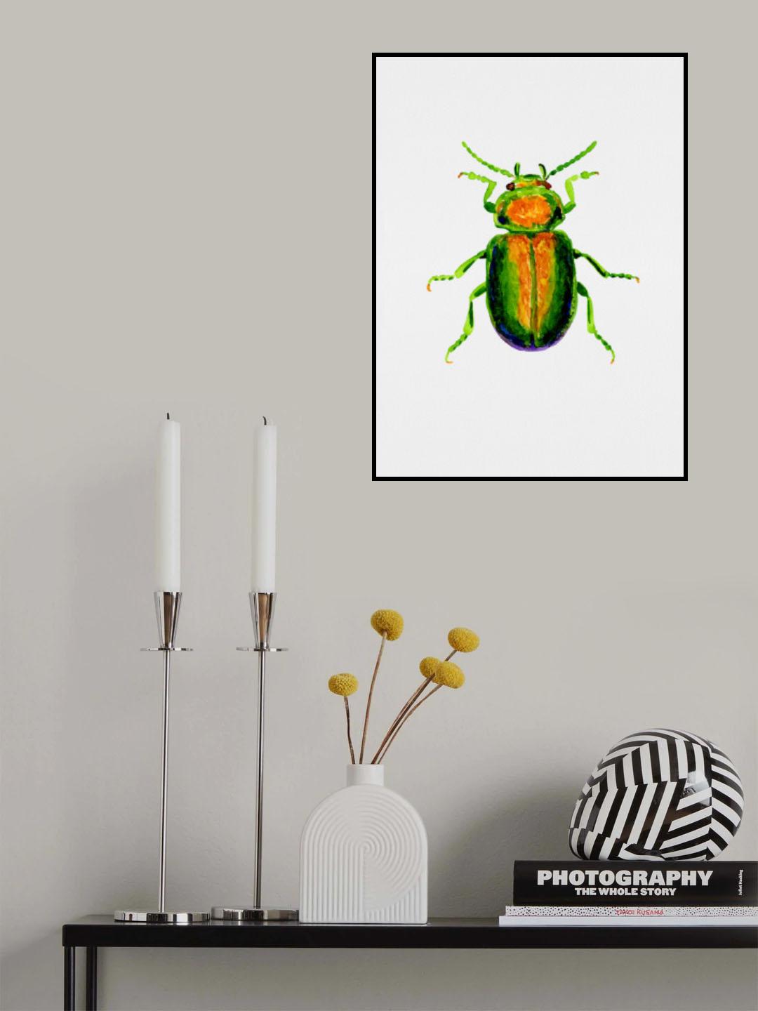 Tansy beetle or Chrysolina graminis Poster och Canvastavla