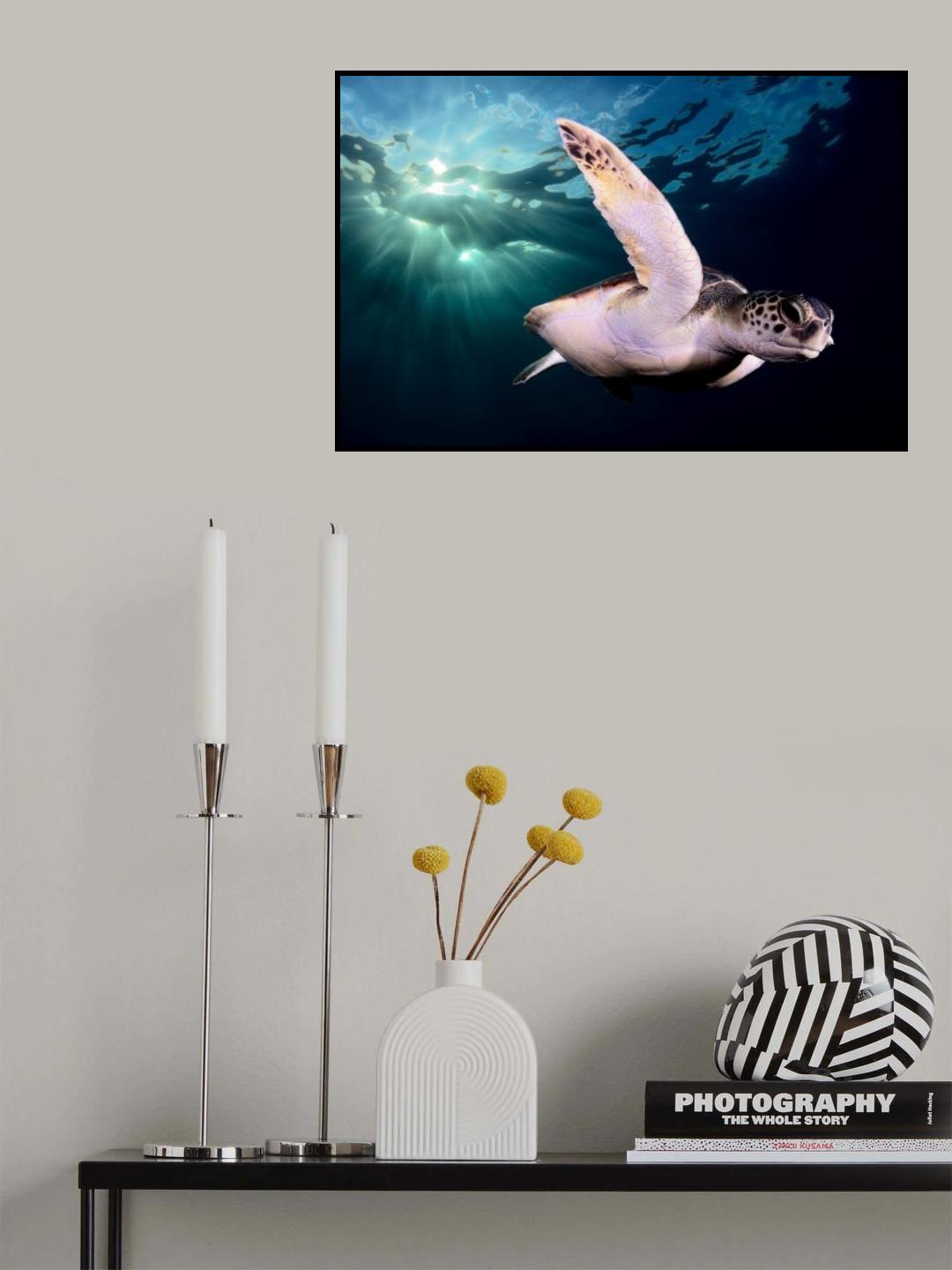 Afternoon Poster och Canvastavla