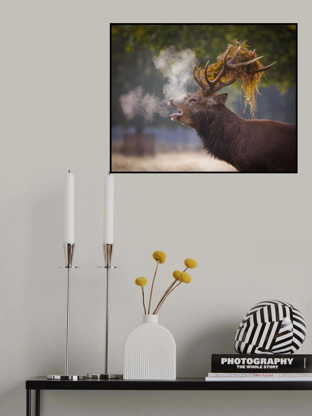 Roaring Poster och Canvastavla