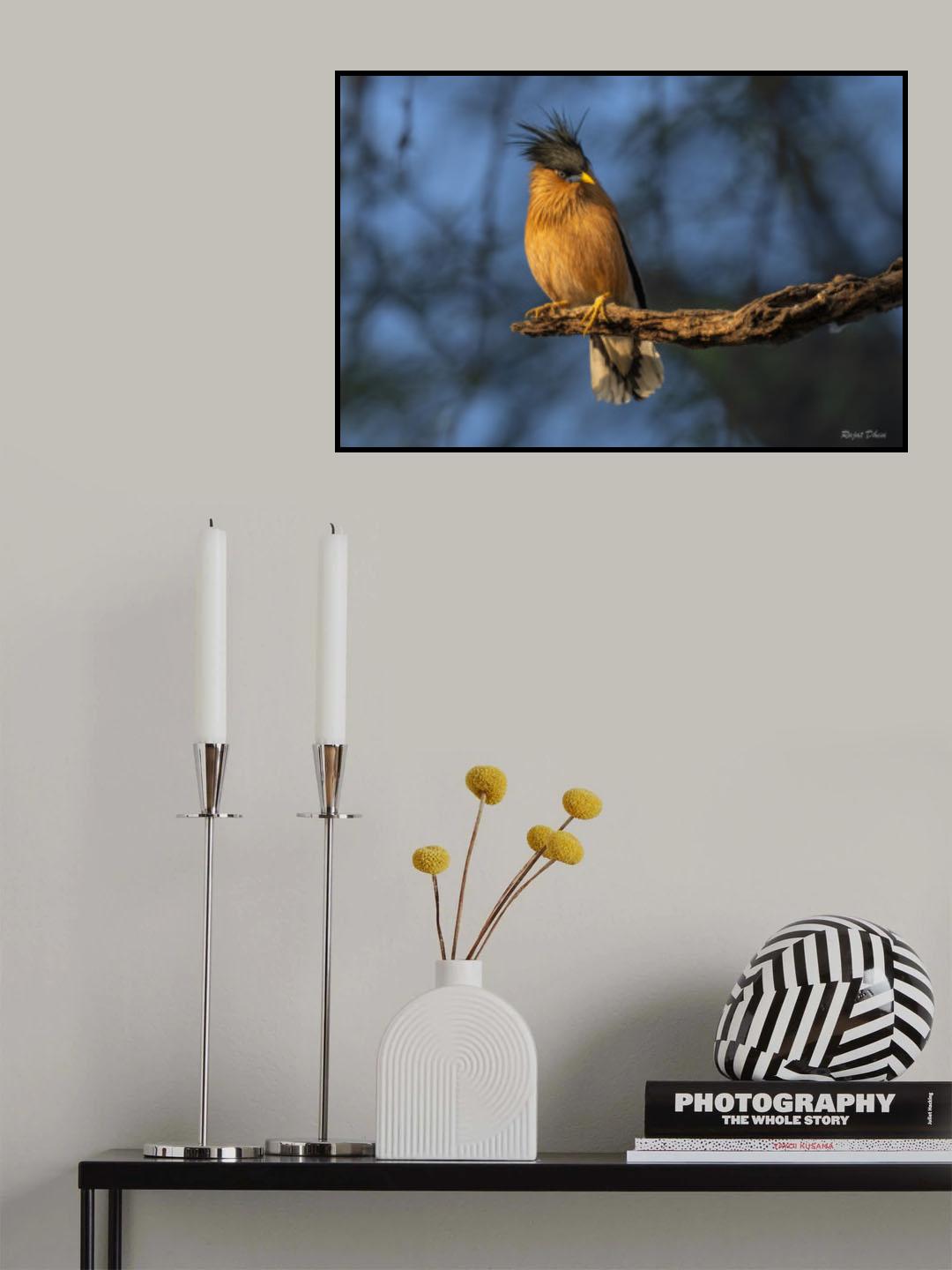 Poster och Canvastavla