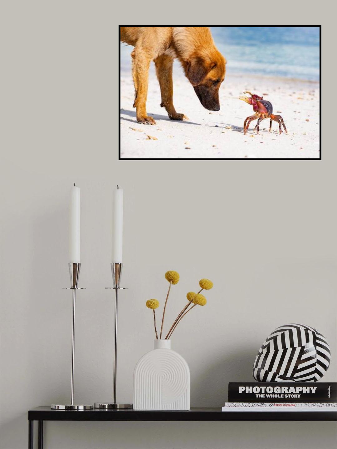 Meeting on the beach Poster och Canvastavla