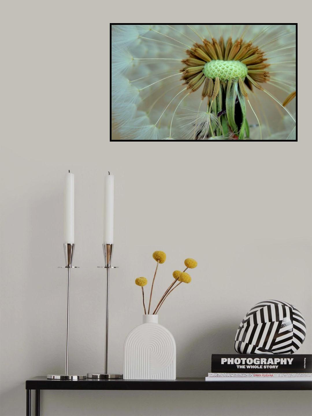 Waiting for the wind... Poster och Canvastavla