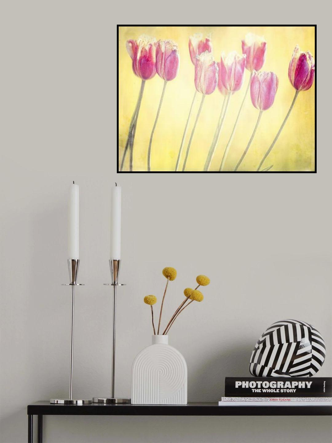 tulips Poster och Canvastavla