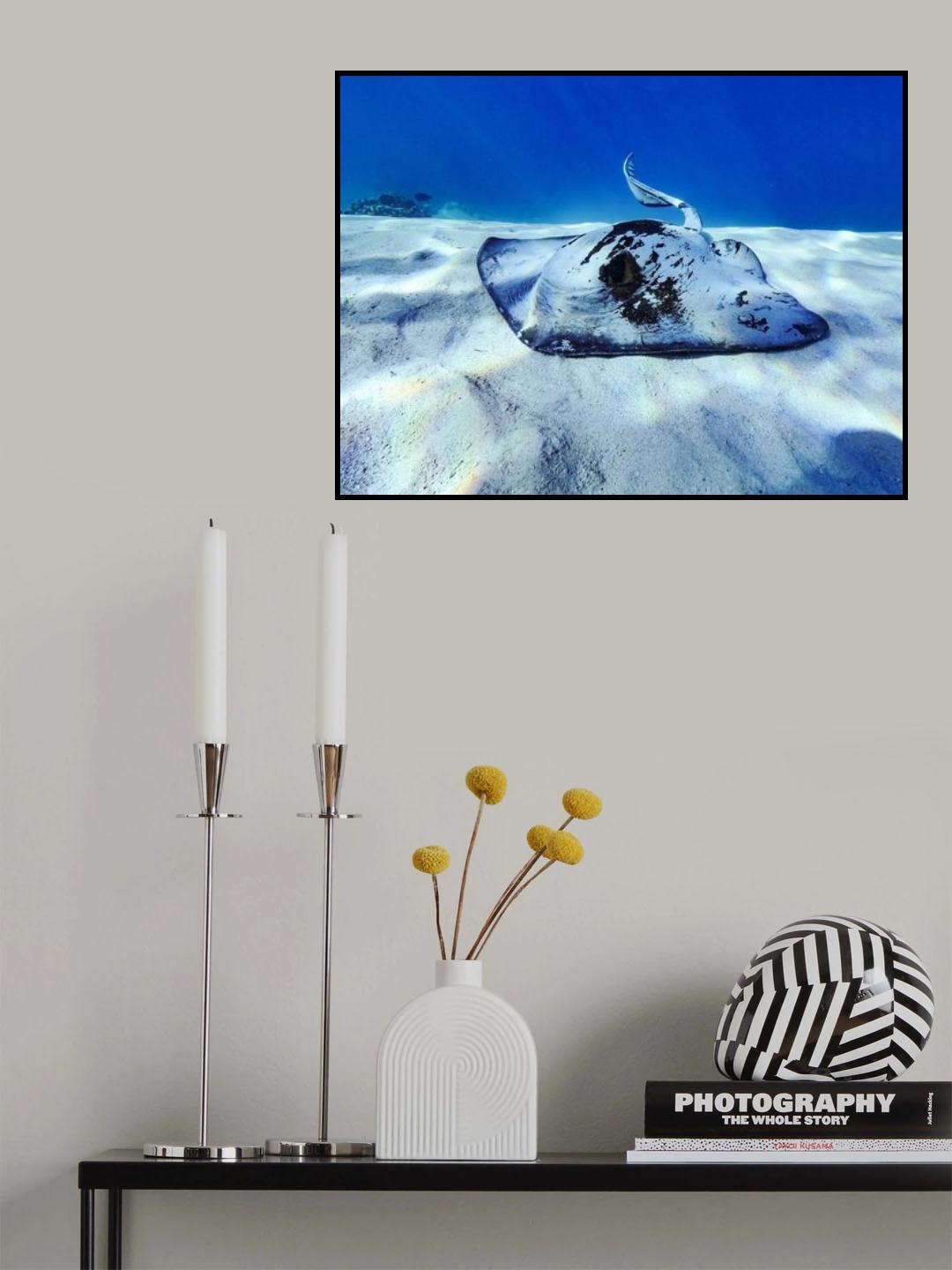 Blue lagoon Poster och Canvastavla