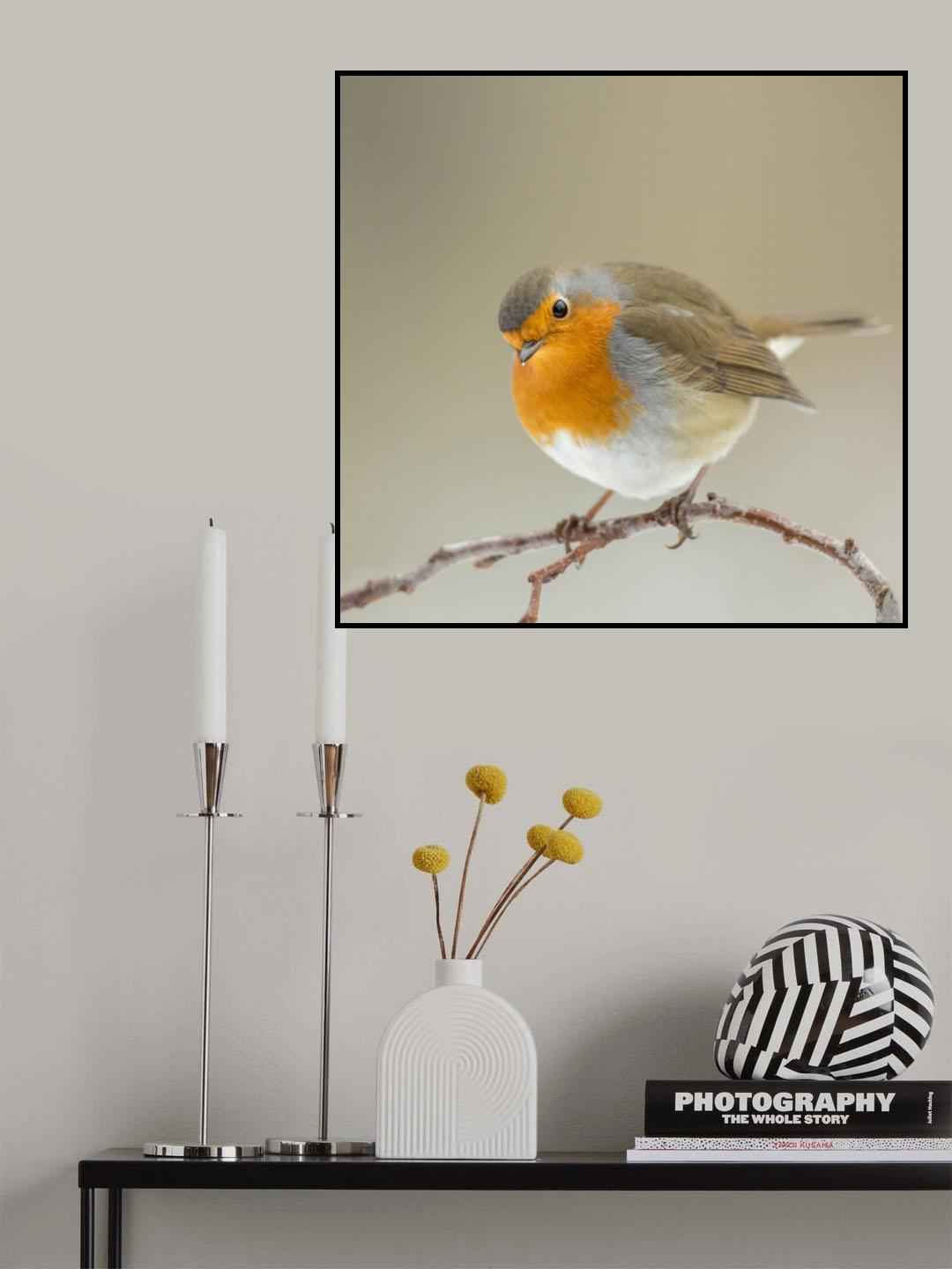 inquisitive Poster och Canvastavla