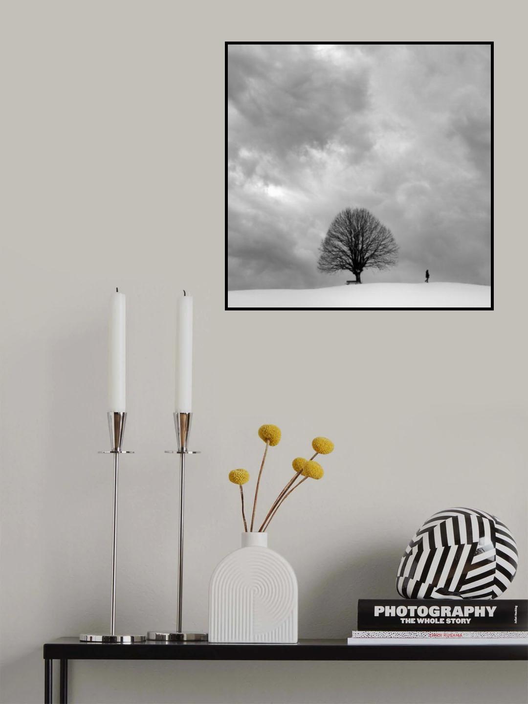 winter walk Poster och Canvastavla