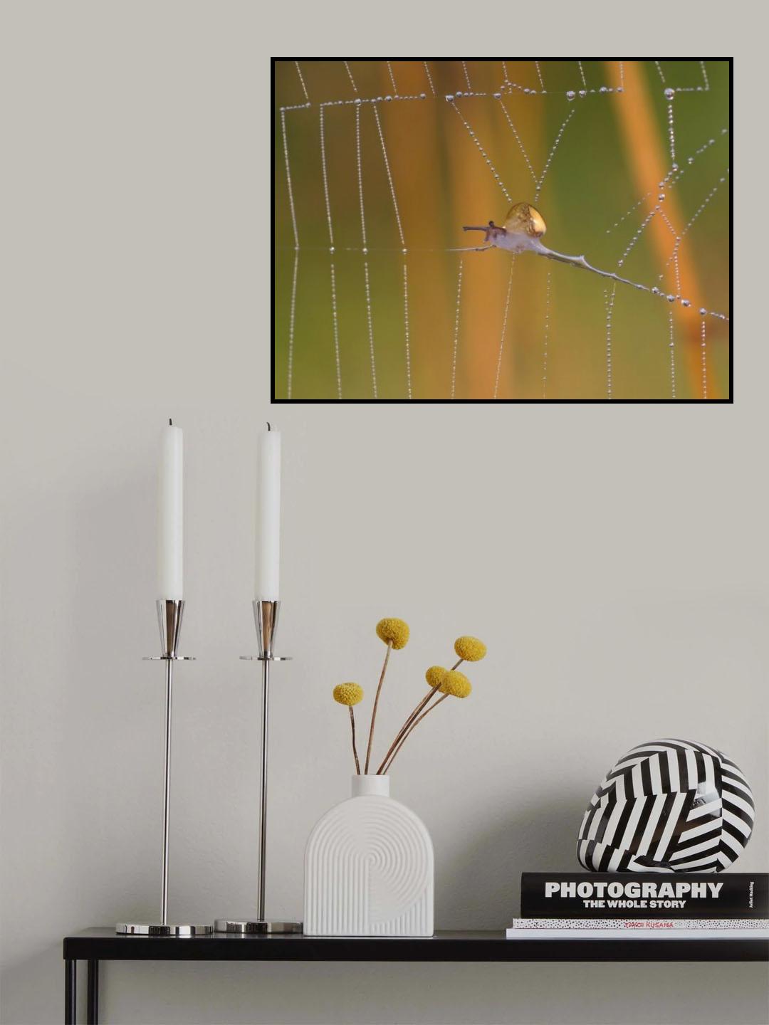 Poster och Canvastavla