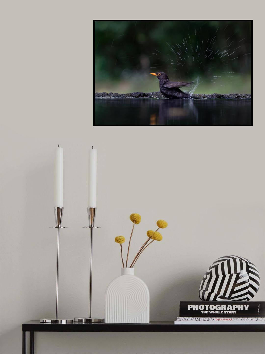 Soooo Poster och Canvastavla