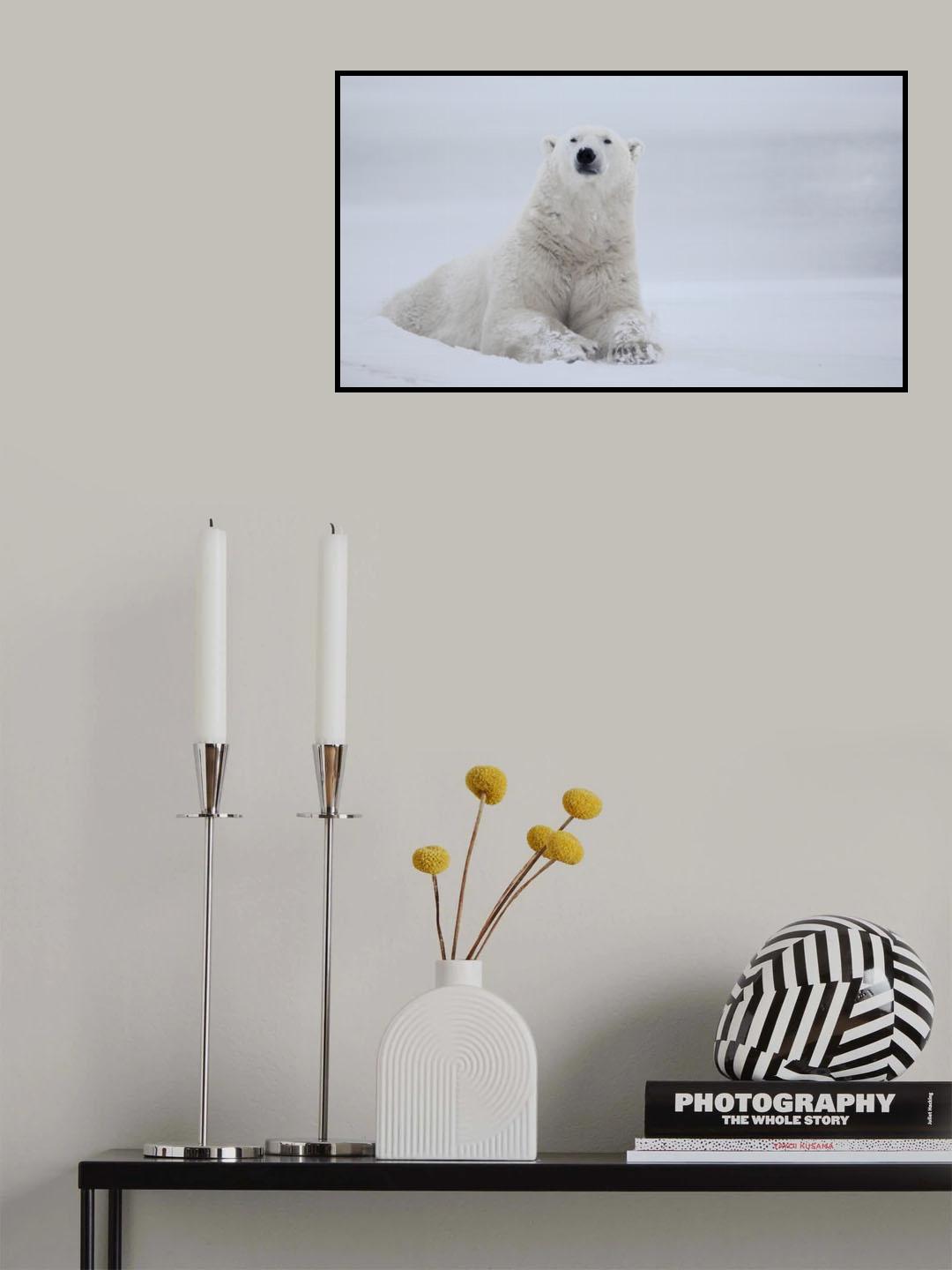 Who Are You? Poster och Canvastavla