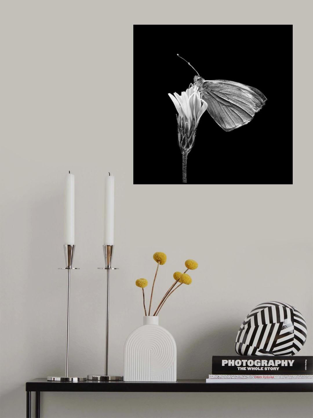 Poster och Canvastavla
