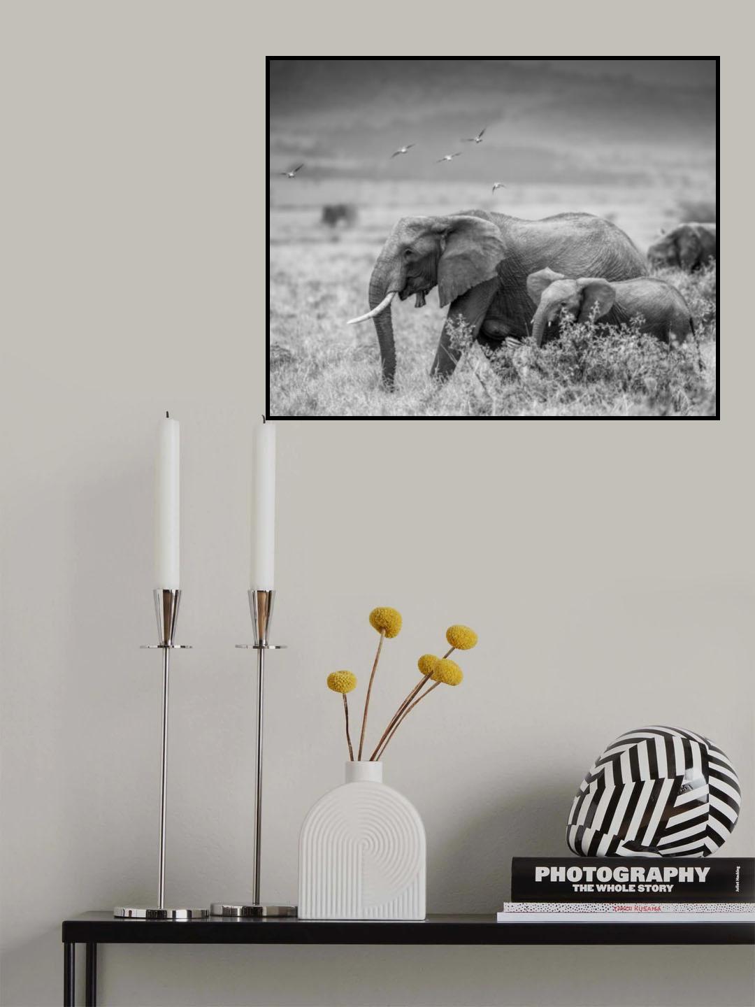 MONO ELEPHANT FAMILY Poster och Canvastavla