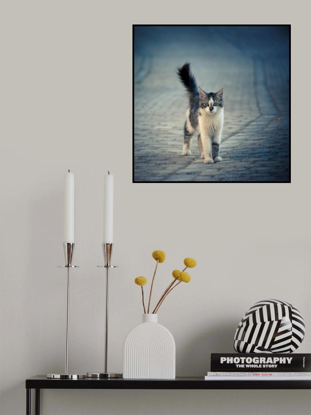 little one Poster och Canvastavla