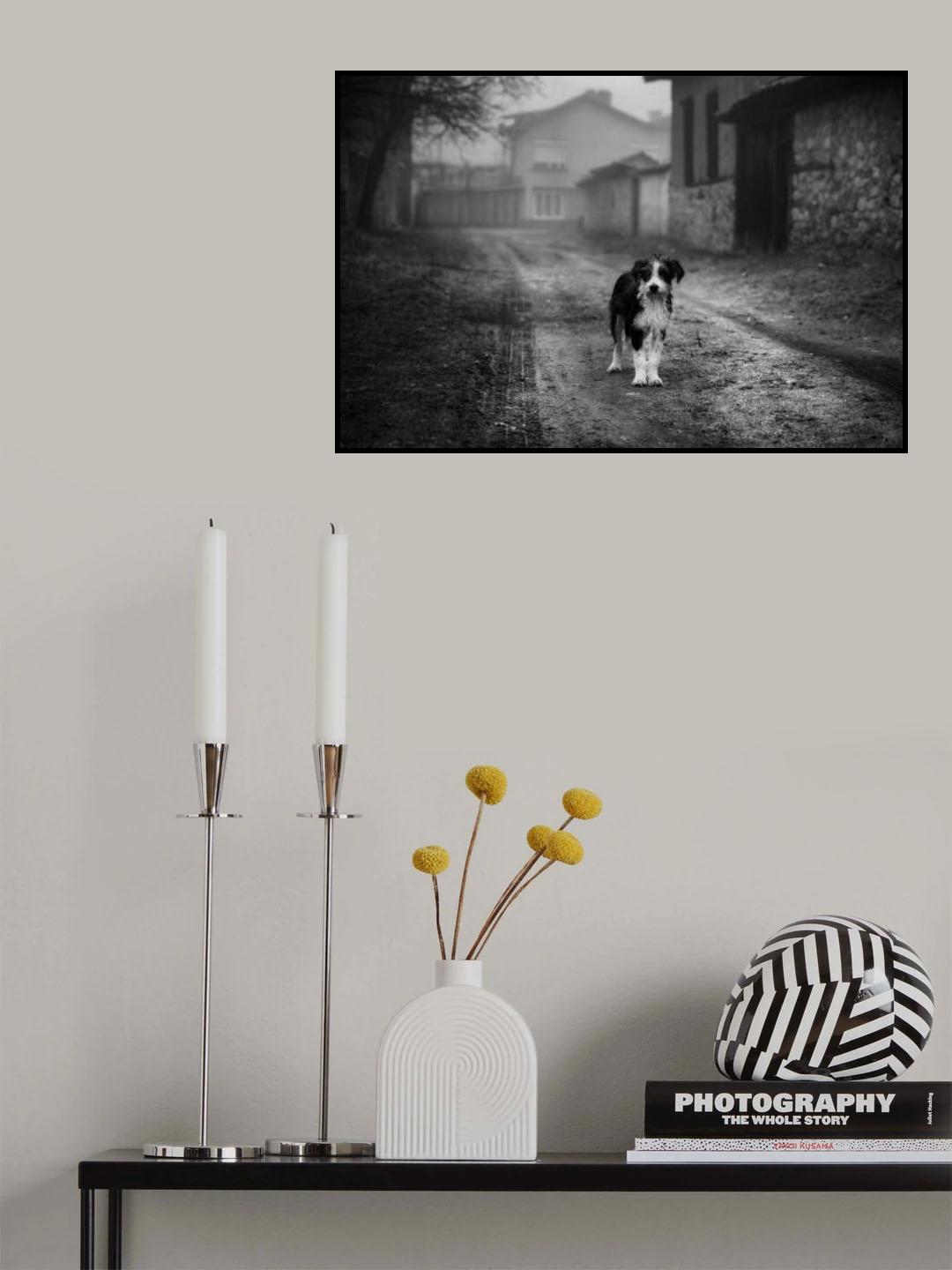 Poster och Canvastavla