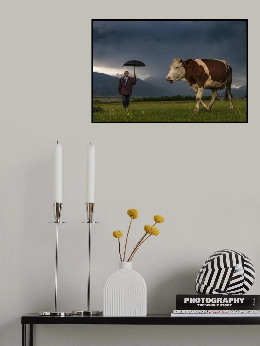 çoban Poster och Canvastavla