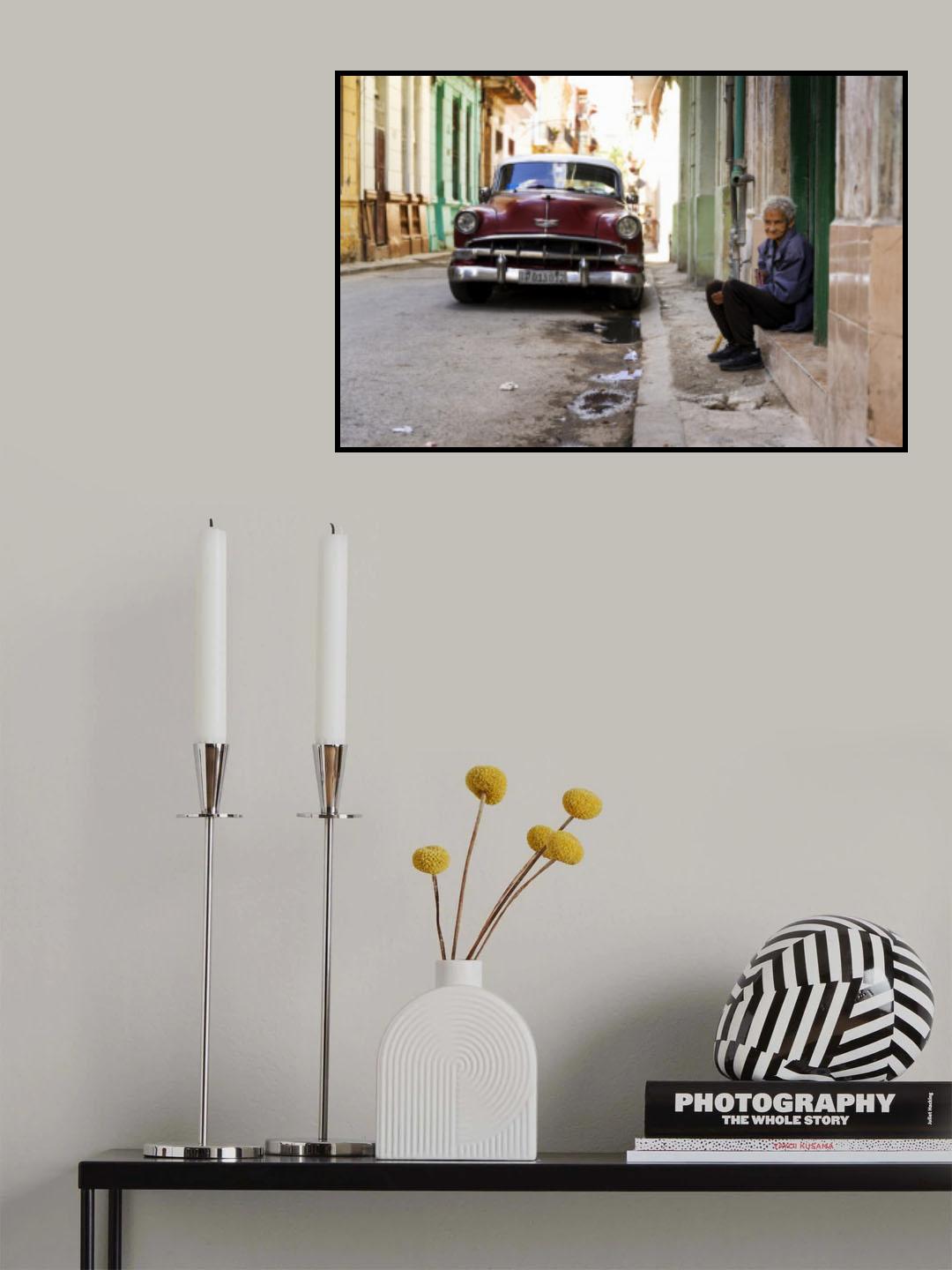 A life story Poster och Canvastavla