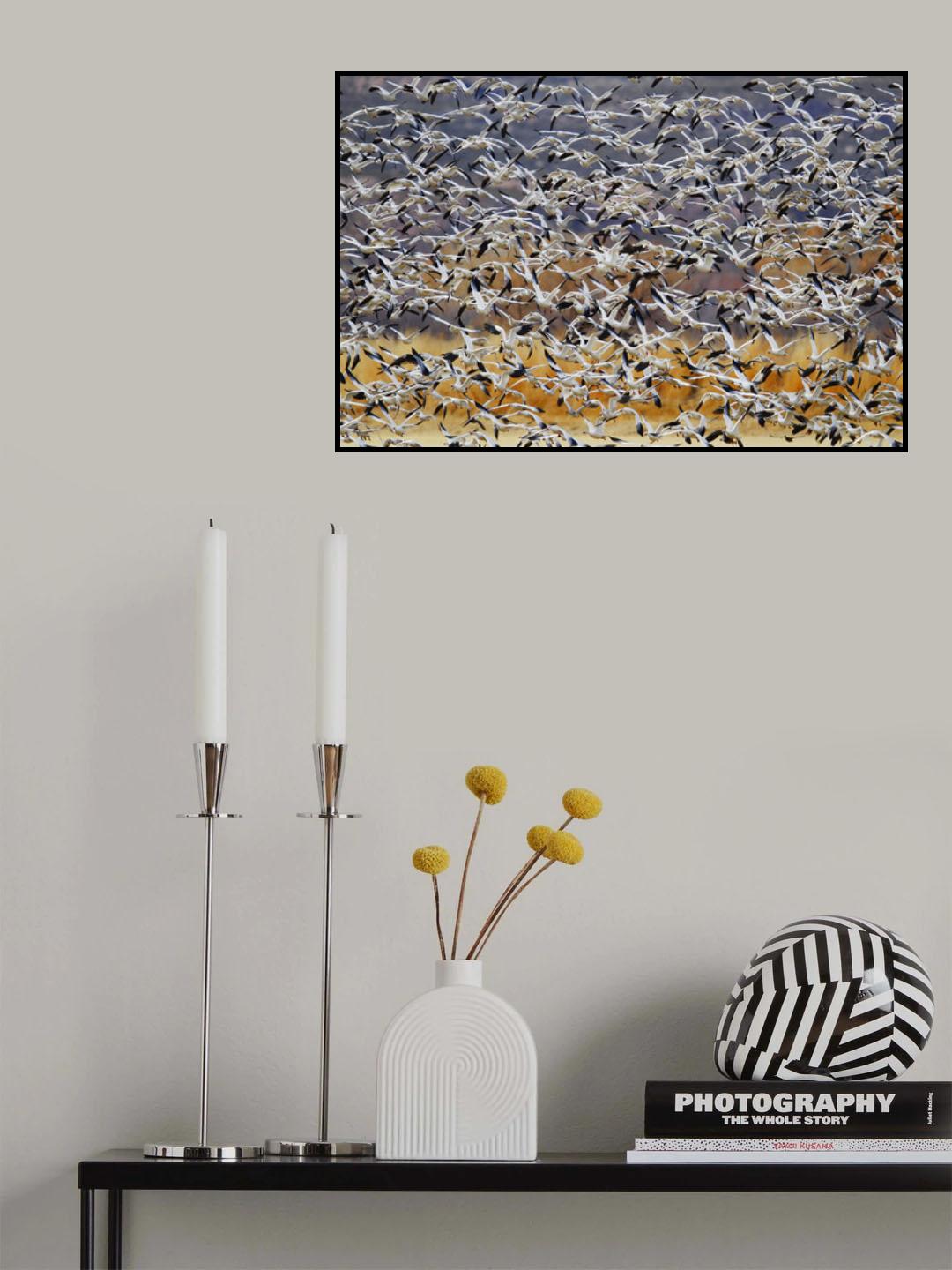 Togther Poster och Canvastavla