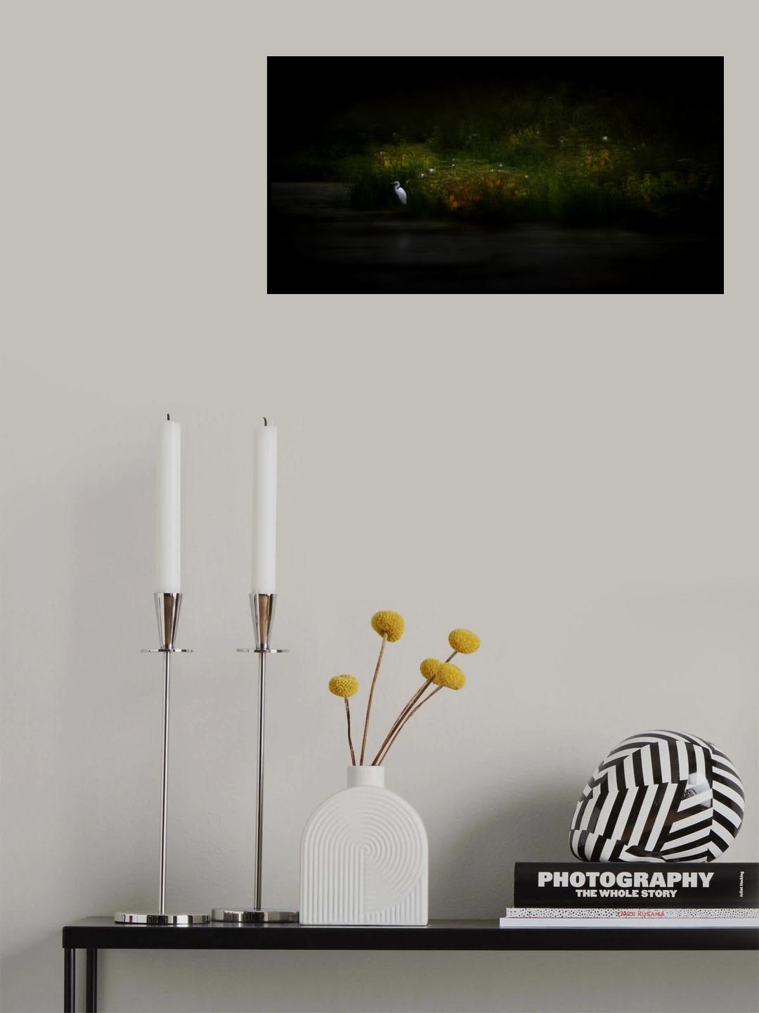 The pond Poster och Canvastavla