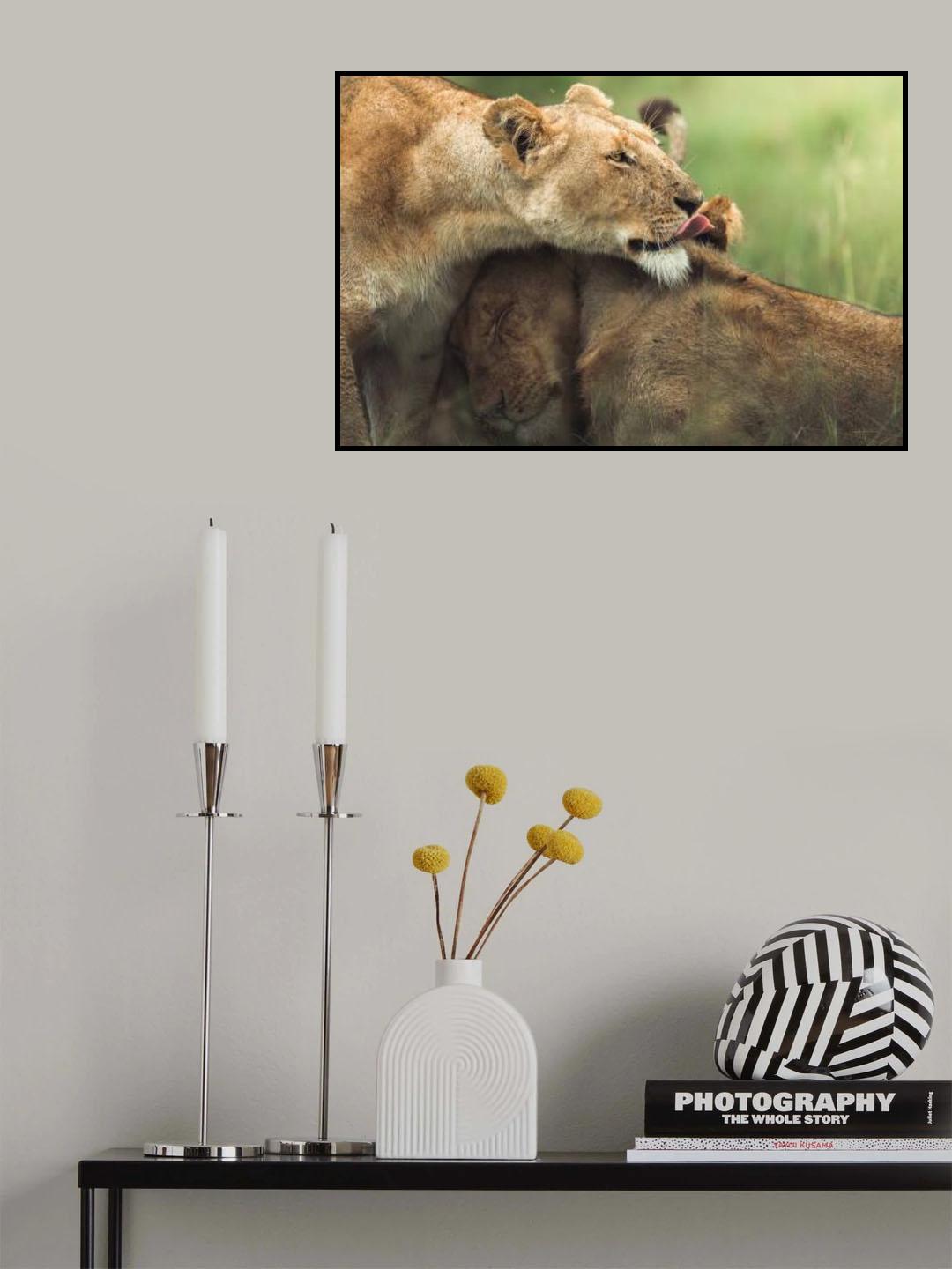 Poster och Canvastavla