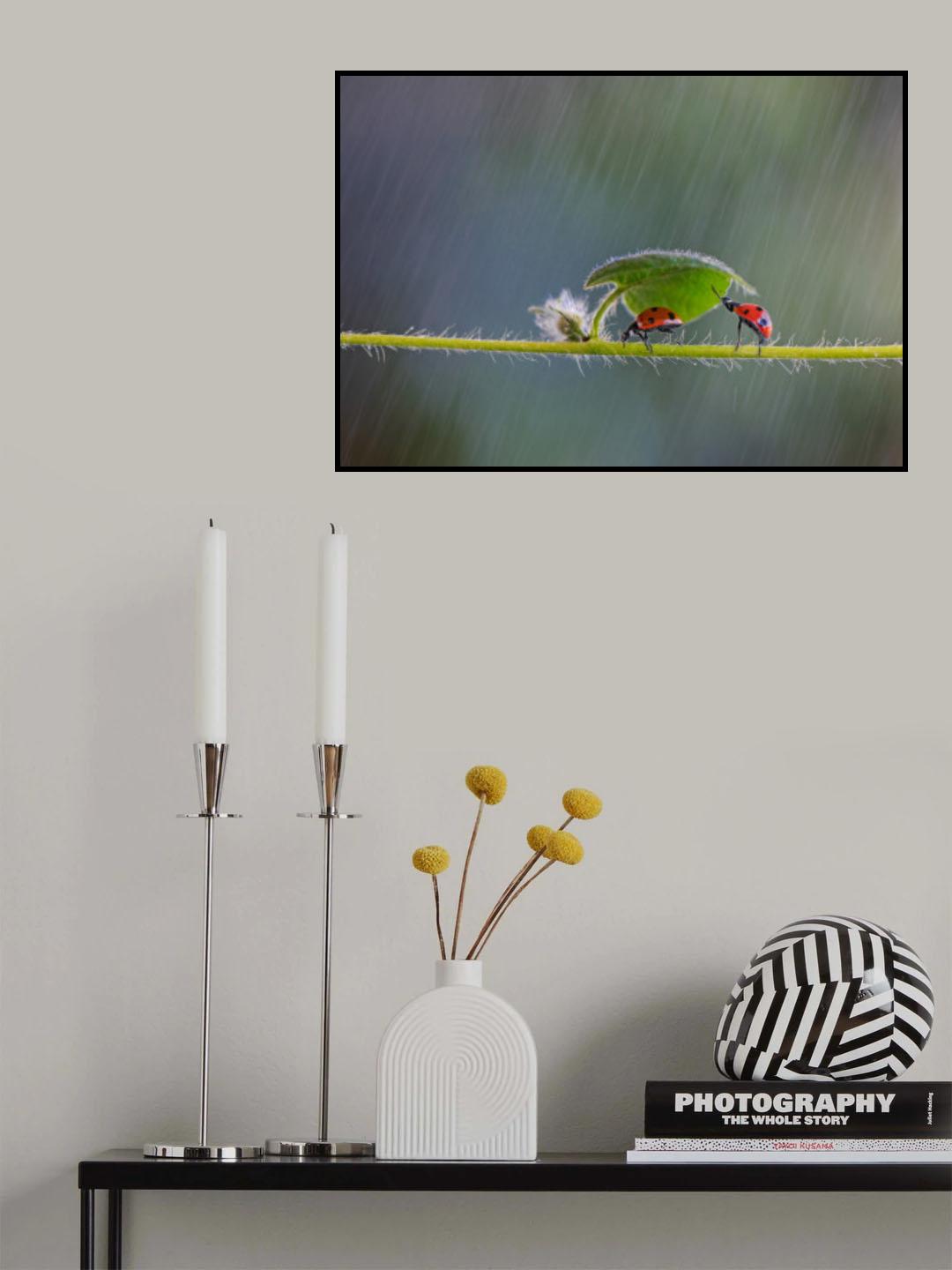 Shelter you from the rain Poster och Canvastavla