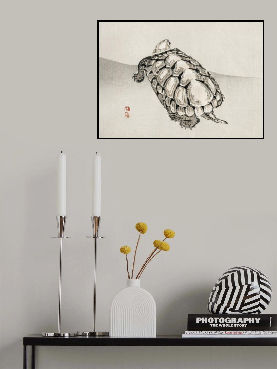 Turtle Poster och Canvastavla
