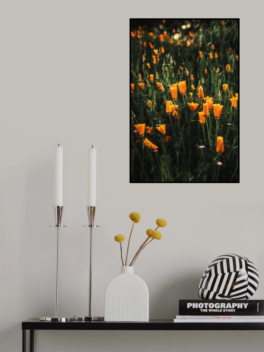 Golden Poppies Poster och Canvastavla