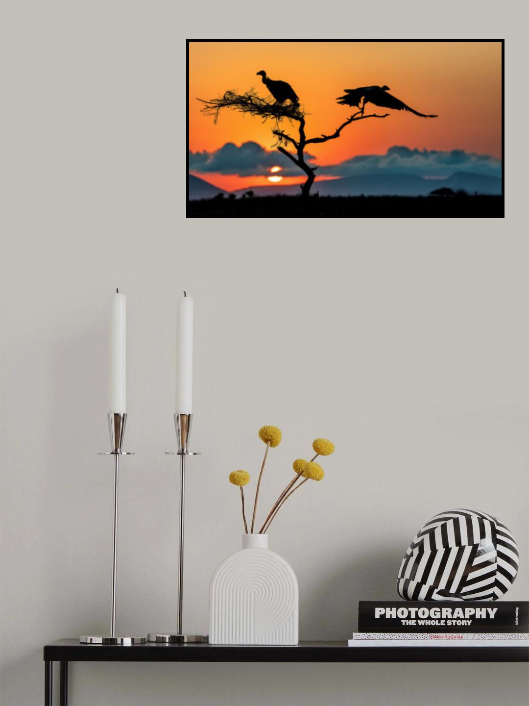 Sunrise & Scavengers Poster och Canvastavla