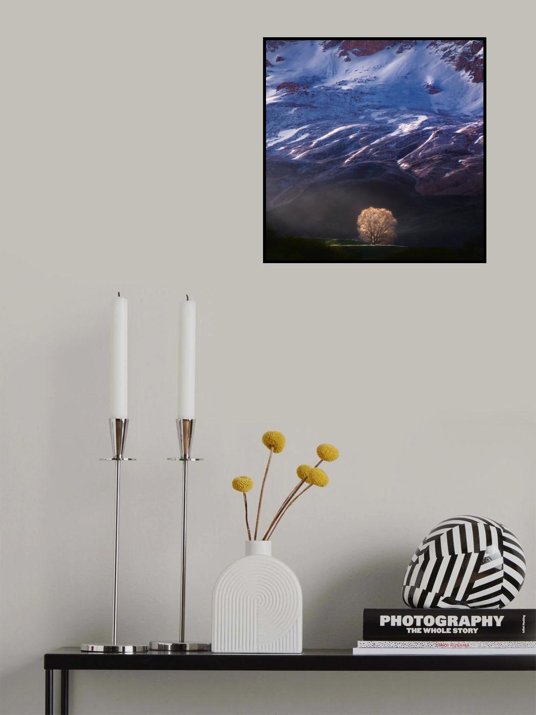 Golden Light and the Tree Alone Poster och Canvastavla