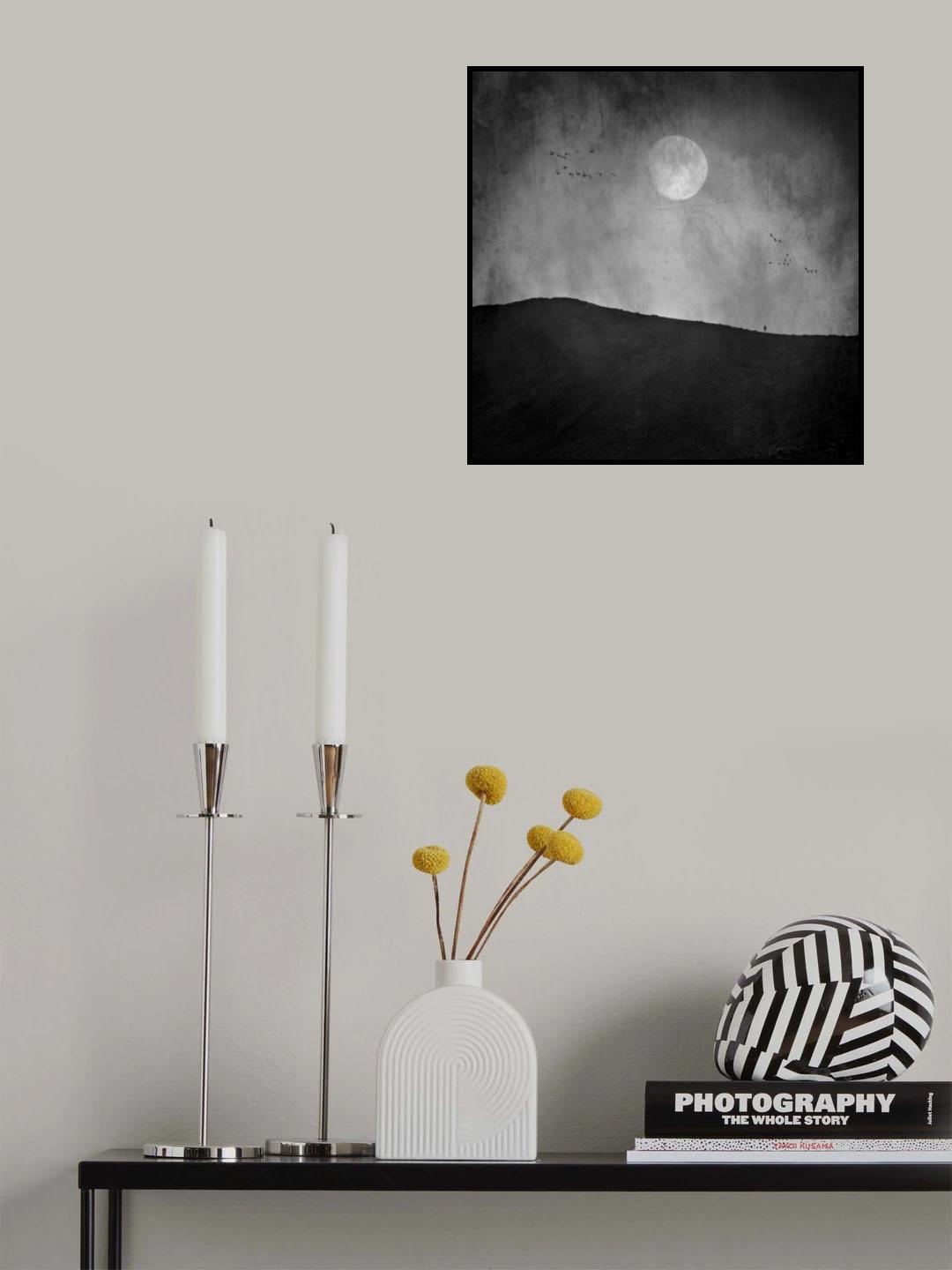 Moon Night Poster och Canvastavla