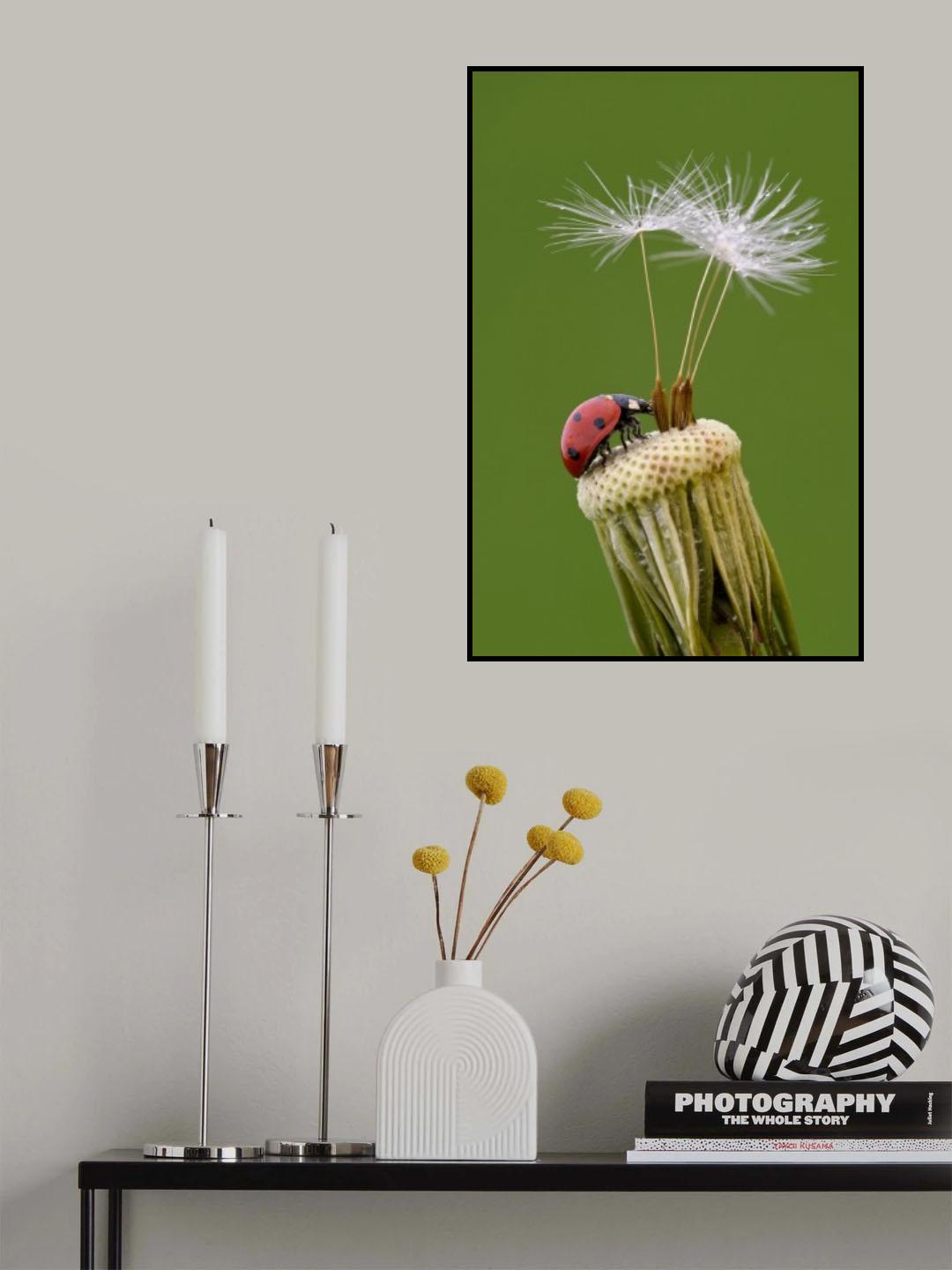 private island Poster och Canvastavla