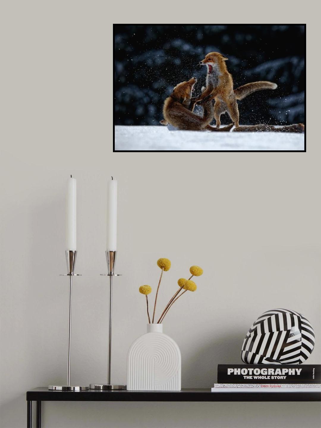 Fight on snow Poster och Canvastavla