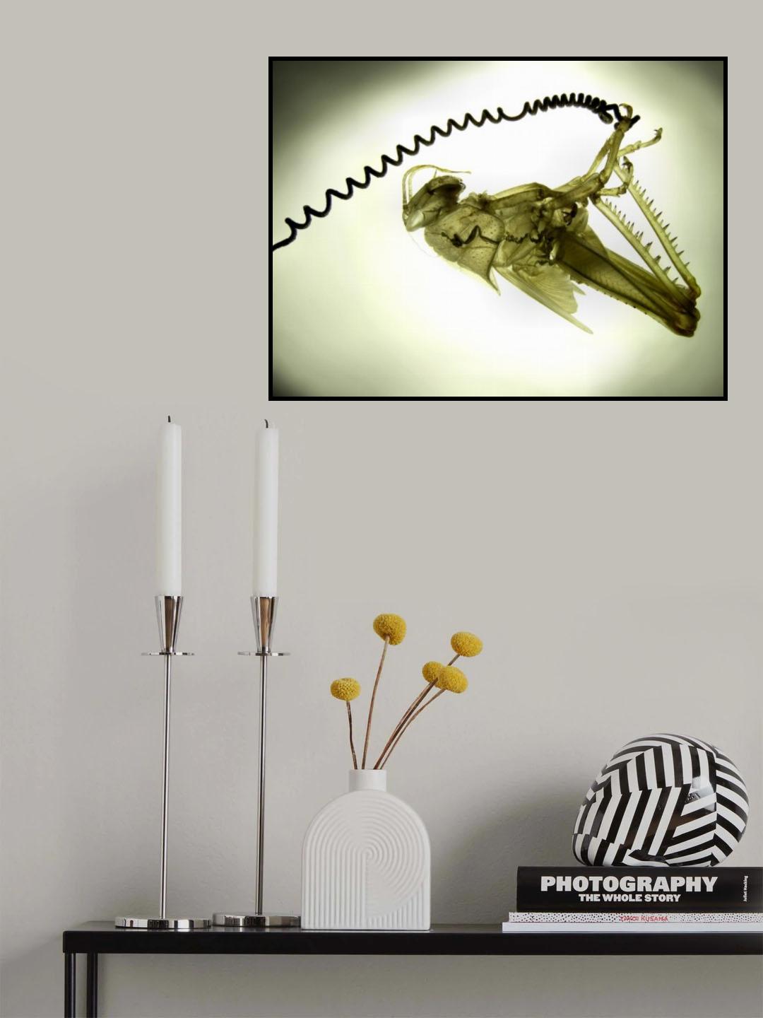 Transparancy Poster och Canvastavla