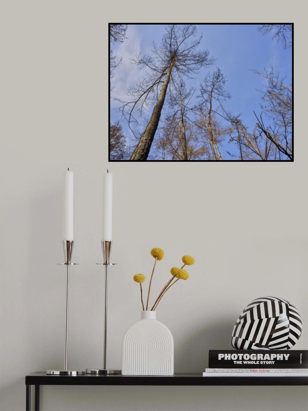 burnt trees and sky background Poster och Canvastavla