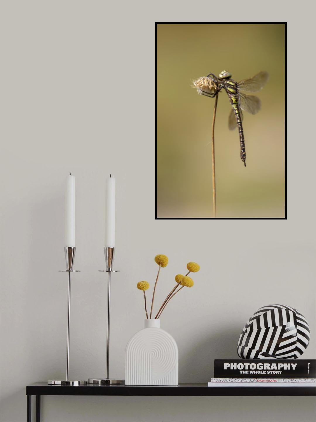 female Poster och Canvastavla