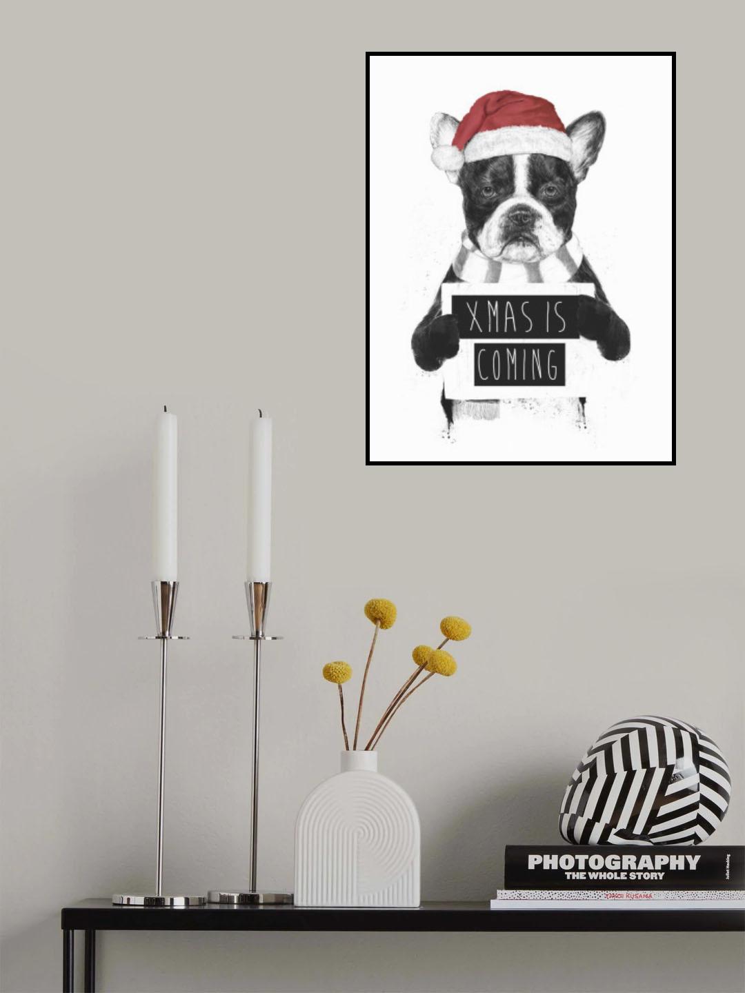 Xmas is coming Poster och Canvastavla