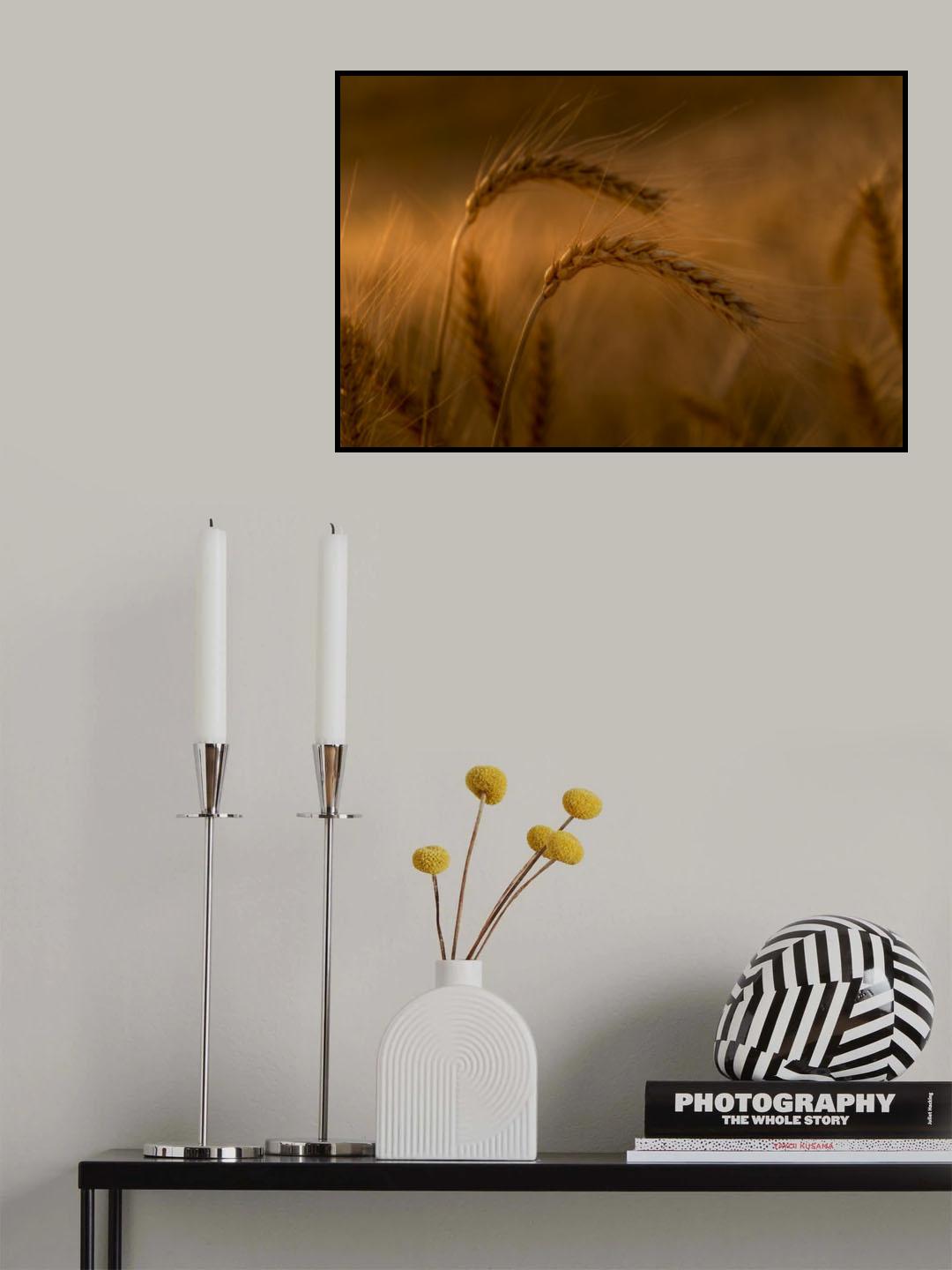 Wheats Poster och Canvastavla