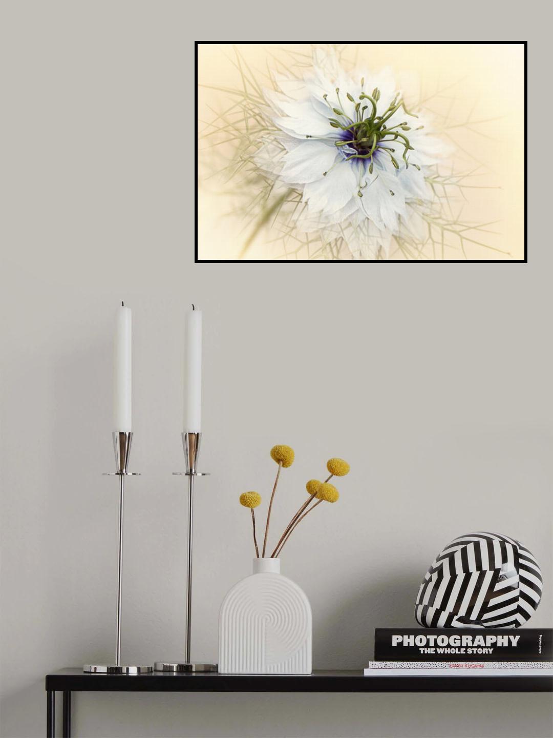 Haze Poster och Canvastavla